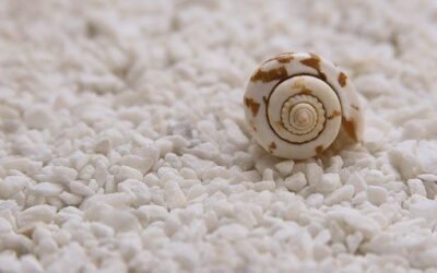 Sesión 1. VIAJE AL CENTRO DE TI